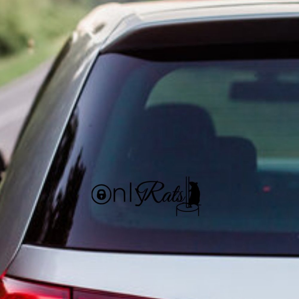 Only Rats- Funny Rats Vinyl Decals Car, Laptop, Windows, Phone Case Sticker - Picture 3 of 14